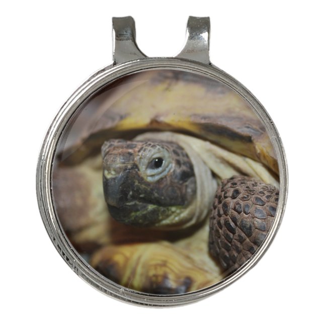 Tibbs Golf Hat Clip (Front)