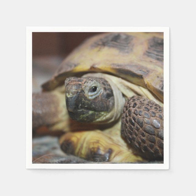 Tibbs Napkins (Front)