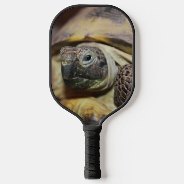 Tibbs Pickleball Paddle (Front)