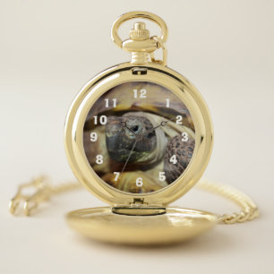 Tibbs pocket watch