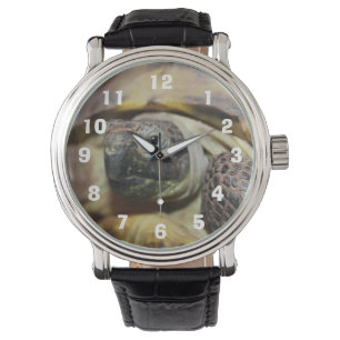 Tibbs  watch