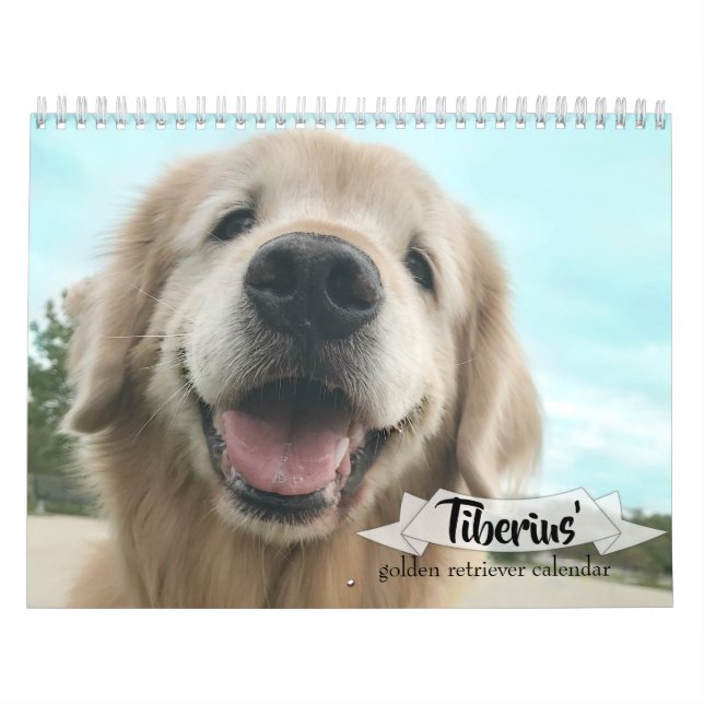 Tiberius' 2019 Golden Retriever AugieDoggy Calendar (Cover)