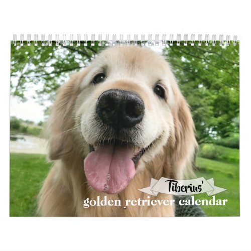 Tiberius 2020 Golden Retriever Calendar