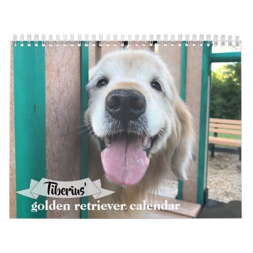 Tiberius 2021 Golden Retriever Dog Calendar