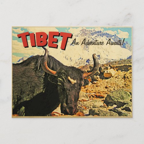 Tibet Adventure Awaits Ox Postcard