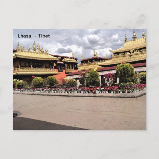 Tibet, Lhasa Norbulingka, Summer Palace, China. Postcard (Front)