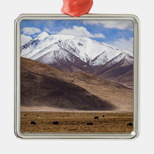Tibet _ Mountain landscape with yaks Metal Ornament