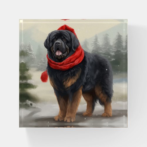 Tibetan Mastiff Dog in Snow Christmas  Paperweight