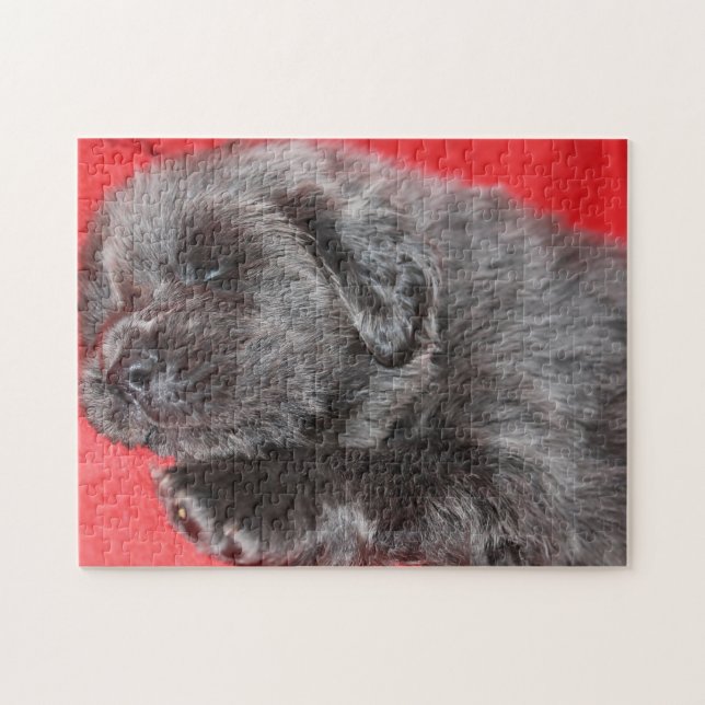 Tibetan Mastiff Dog Jigsaws. Jigsaw Puzzle (Horizontal)