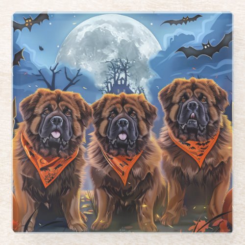 Tibetan Mastiff Halloween Spooky Glass Coaster