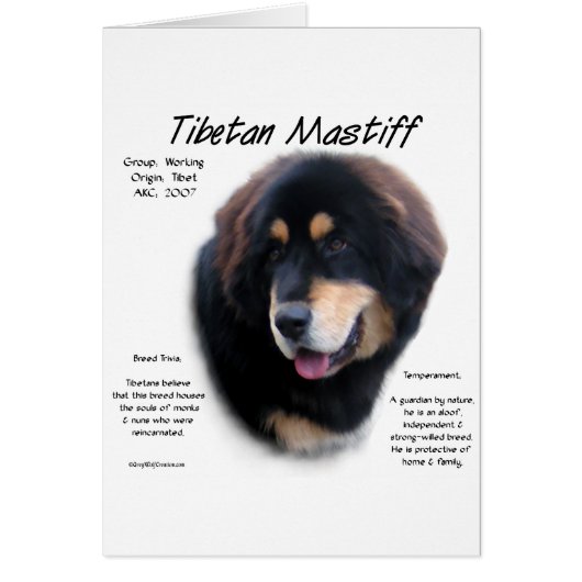 Tibetan Mastiff History Design (Front)