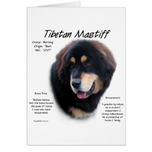 Tibetan Mastiff History Design Cards