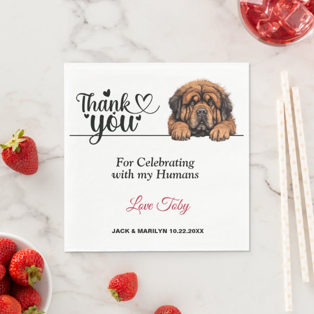Tibetan Mastiff Paper Napkins (Insitu)