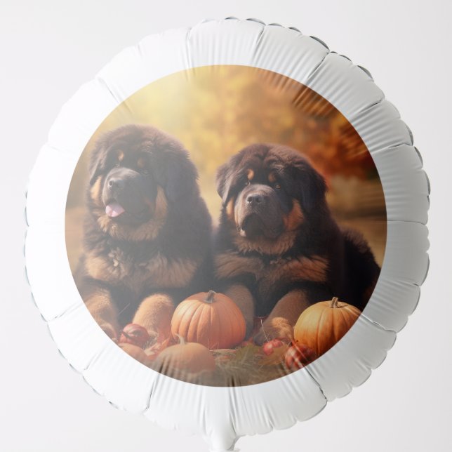 Tibetan Mastiff Puppy Autumn Delight Pumpkin  Balloon (Front)