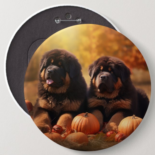 Tibetan Mastiff Puppy Autumn Delight Pumpkin  Button (Front & Back)