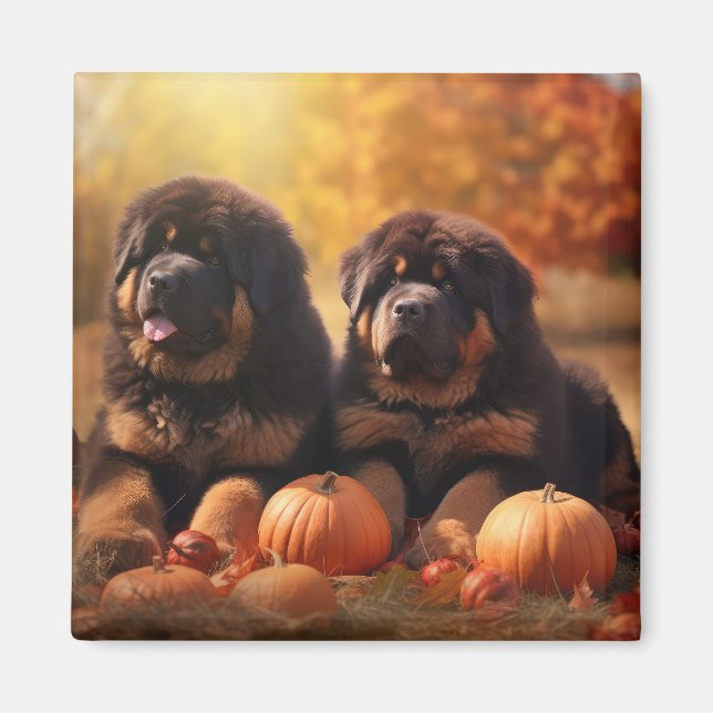 Tibetan Mastiff Puppy Autumn Delight Pumpkin  Magnet (Front)