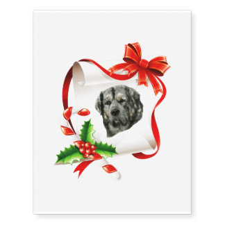 Tibetan Mastiff Temporary Tattoos