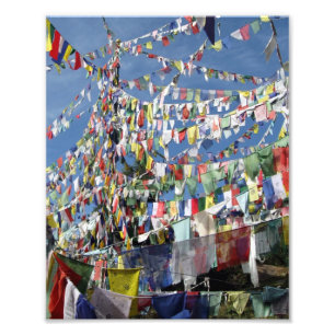 Tibetan Prayer Flags Photo Print