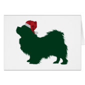 Tibetan Spaniel (Front Horizontal)