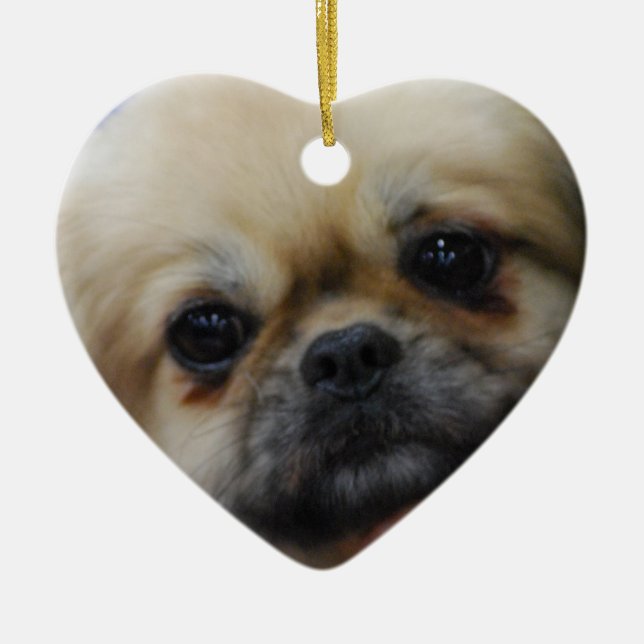 tibetan-spaniel-5.jpg ceramic ornament (Front)