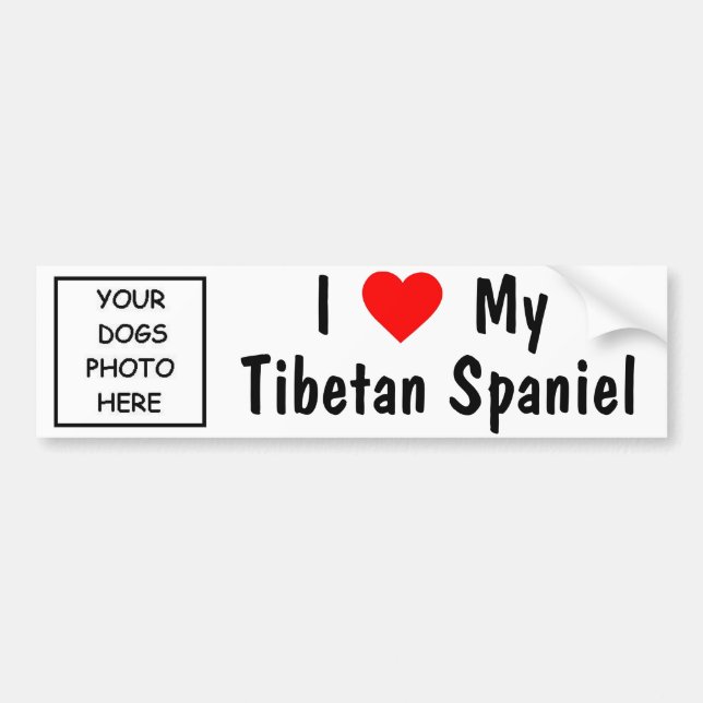 Tibetan Spaniel Bumper Sticker (Front)