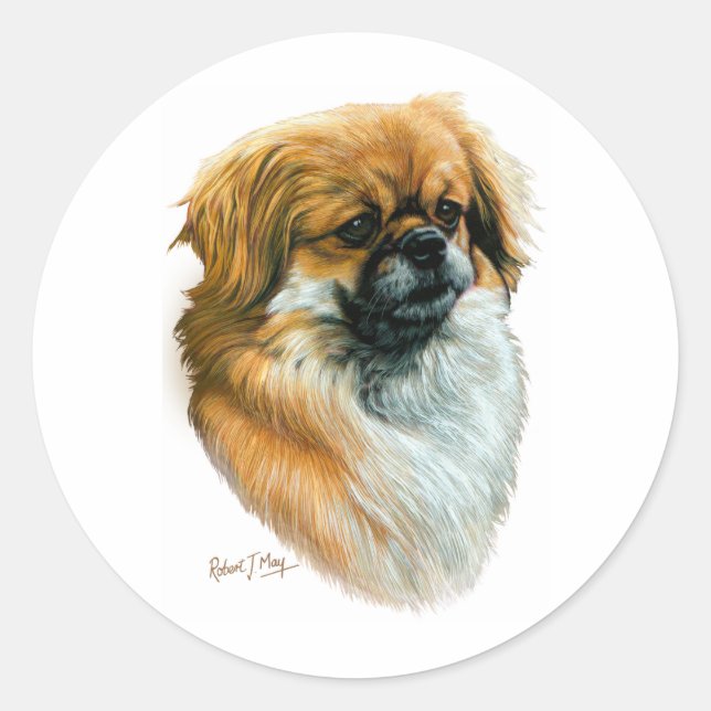 Tibetan Spaniel Classic Round Sticker (Front)