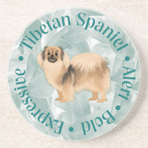 Tibetan Spaniel Coaster "Bold" (teal)