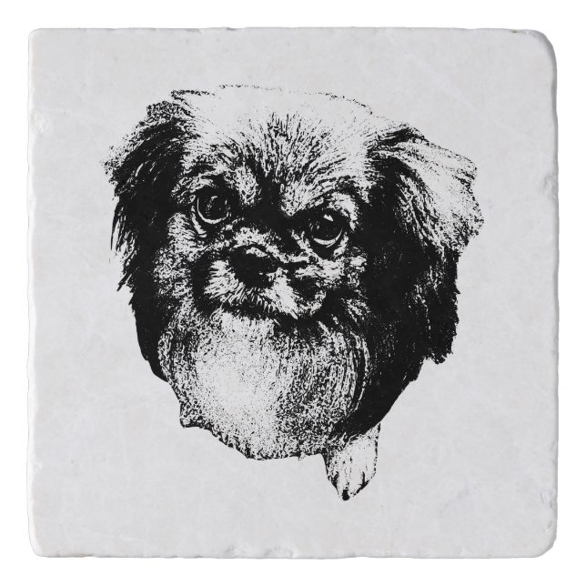 Tibetan Spaniel Coaster – Monochrome Dog Art (Front)