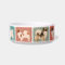 Tibetan Spaniel Dog Bowl