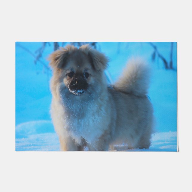 Tibetan Spaniel Dogs. Doormat (Front)