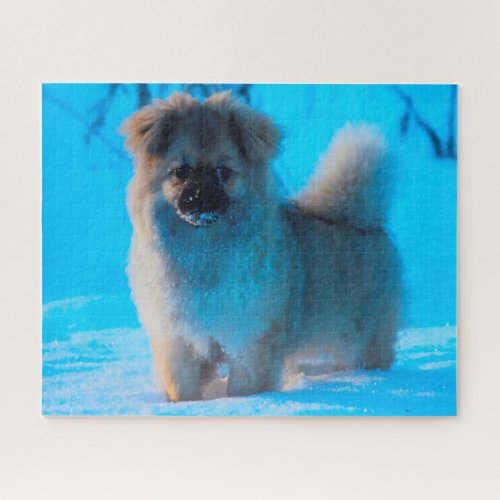 Tibetan Spaniel Dogs Jigsaws Jigsaw Puzzle