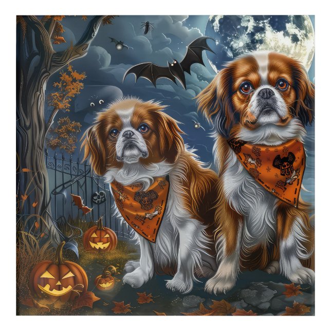 Tibetan Spaniel Halloween Spooky  Acrylic Print (Front)