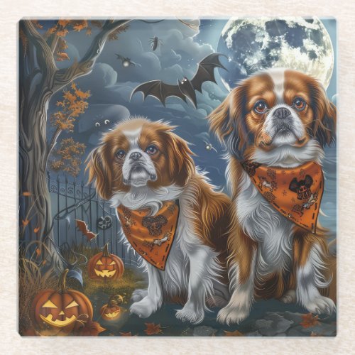 Tibetan Spaniel Halloween Spooky  Glass Coaster