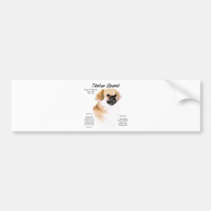 Tibetan Spaniel History Design Bumper Sticker