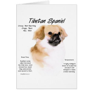 Tibetan Spaniel History Design Cards