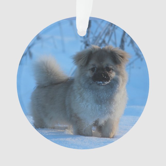 Tibetan Spaniel in the Snow Ornament (Front)