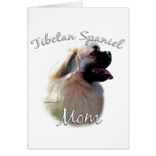 Tibetan Spaniel Mom 2 Cards