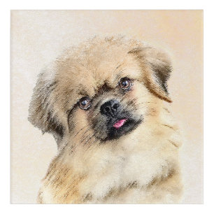 Tibetan Spaniel Painting - Cute Original Dog Art
