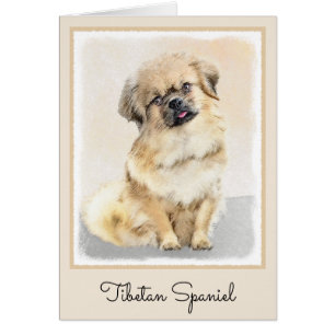 Tibetan Spaniel Painting - Cute Original Dog Art Cards