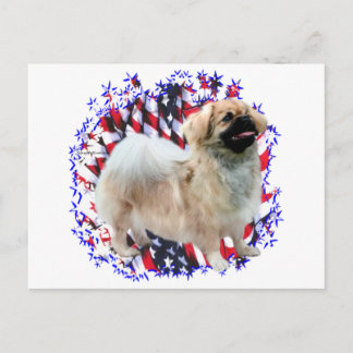 Tibetan Spaniel Patriot Postcard
