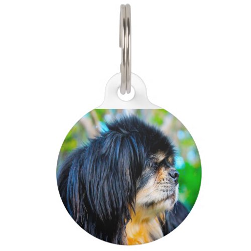 Tibetan Spaniel Pet ID Tag