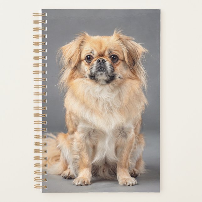 Tibetan Spaniel Planner (Front)