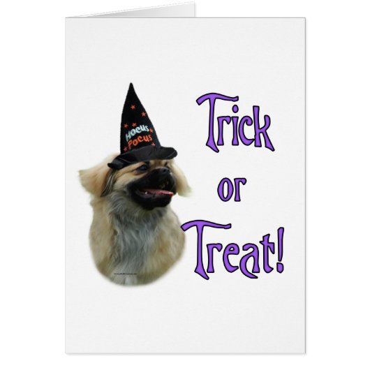 Tibetan Spaniel Trick Cards (Front)