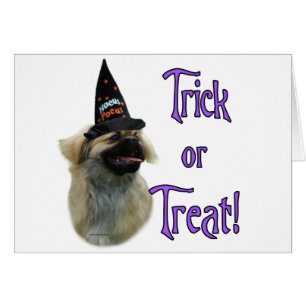 Tibetan Spaniel Trick Cards