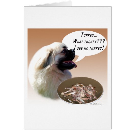 Tibetan Spaniel Turkey Cards (Front)