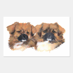 Tibetan Spaniels Head Study Rectangular Sticker