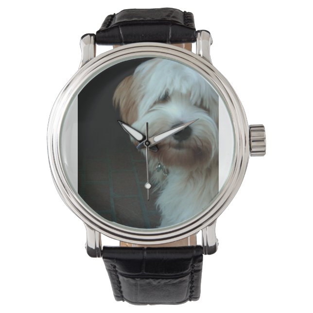 tibetan terrier 2 watch (Front)