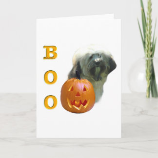 Tibetan Terrier Boo Card