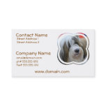 Tibetan Terrier Business Cards