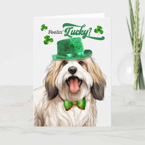 Tibetan Terrier Dog Feelin Lucky St Patricks Day Holiday Card